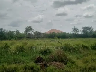 2 Plots of Land