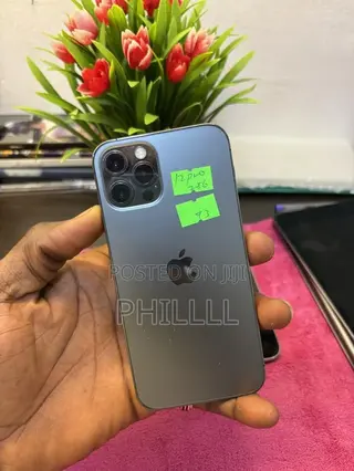Apple iPhone 12 Pro 256 GB Gray