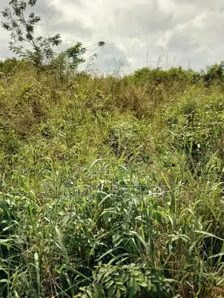 Land at Ho for Sale at a Negotiable Price