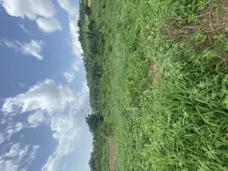 1plot of Land Mountain Top