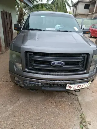 Ford F-150 2013 Gray