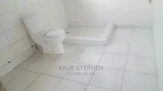 Professional Tiles Layer