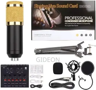 Professional Condenser Microphone V8 Soundcard