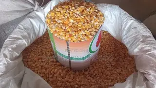 Quality Yellow Maize for Sale
