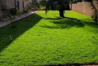 Garden and Landscaping
