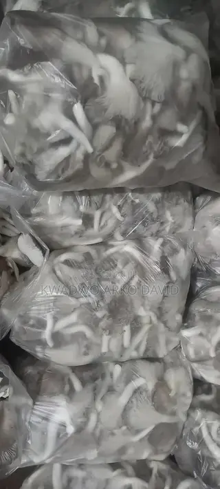 Fresh Oyster Mushroom