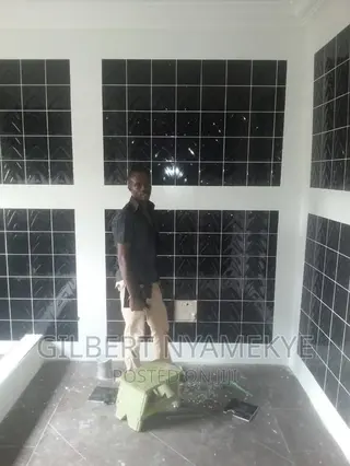 Experience and Professional Tiler for Your Project