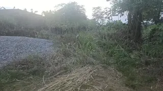 110*100 Land at Tanoso Dominase for Sale