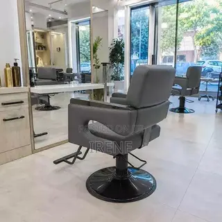 Professional Salon Chair