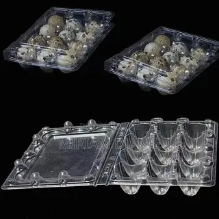 Transparent Quail Egg Crates
