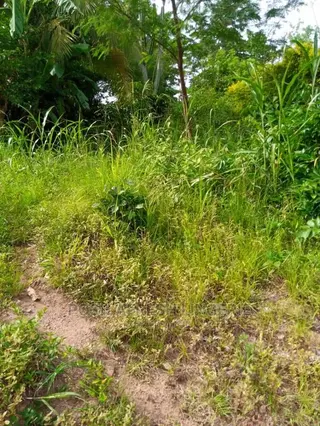 Residential and Farmland 4 Sale