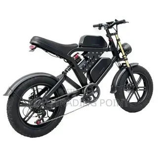 Dual Battery E-Bike for Delivery