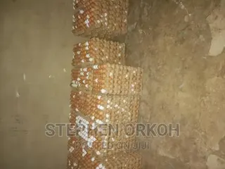 Eggs From Farm