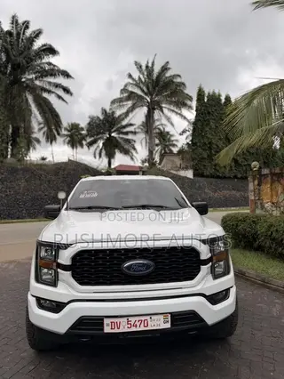 Ford F-150 2023 White