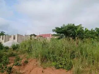 90*100 Full Plot of Land