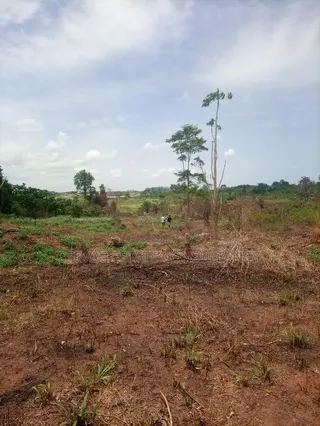Alpha Estate Land for Sale at Kasoa Buduatta