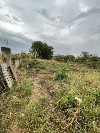 Genuine Half Plot for Sale