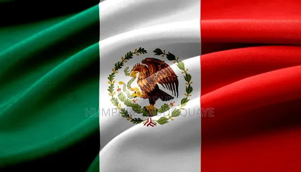 Mexican Visa · Photo 1