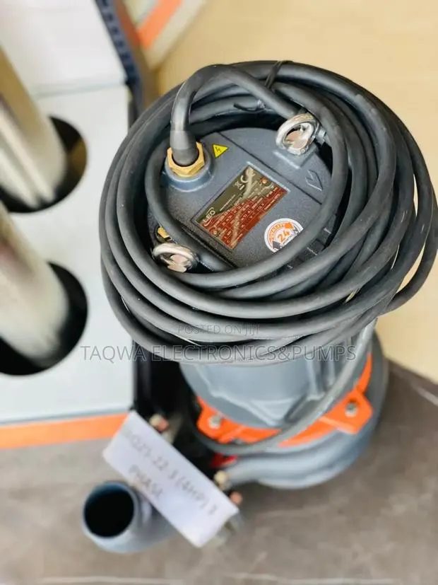 Authentic Leo 4hp Sewage Pump · Photo 1