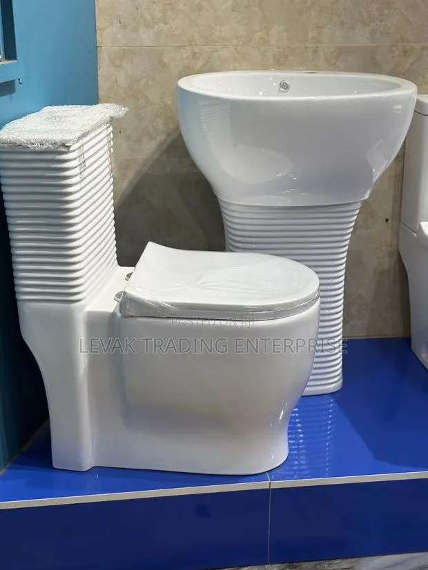 Wash Hand Basin and Watercloset · Photo 1