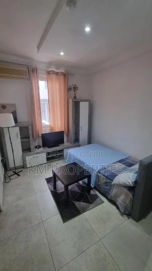 Single Studio Airbnb West-Legon · Photo 1