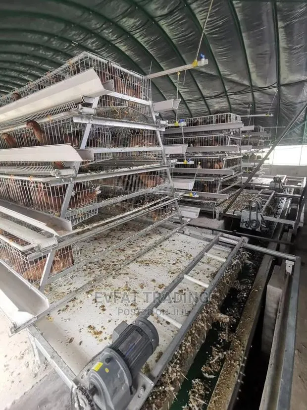 Battery Cage · Photo 1