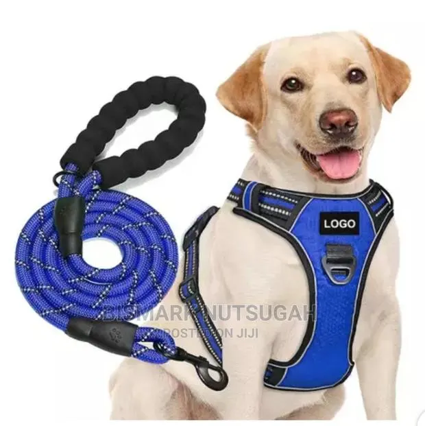 Dog Chain for Sale · Photo 1