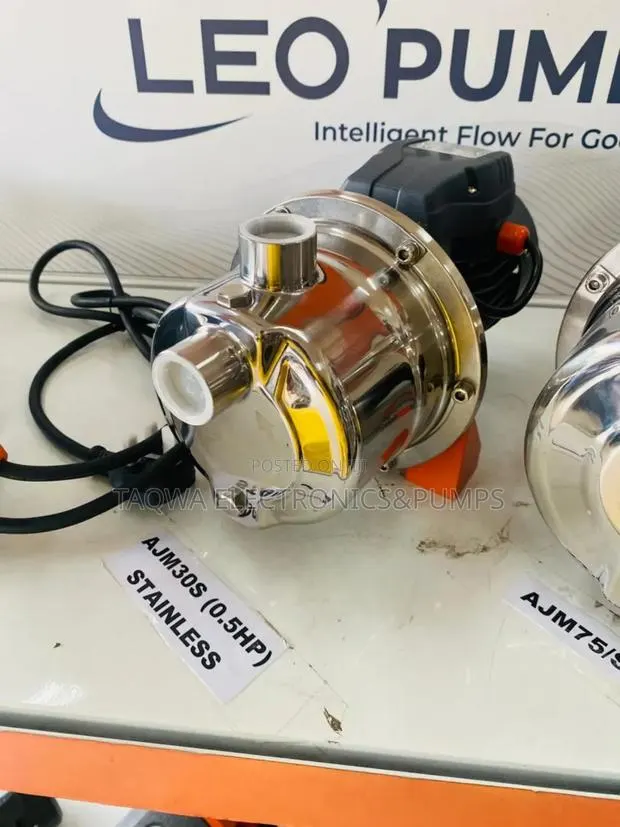 True Stainless 0.5hp Ajm30s Leo Water Pump · Photo 1