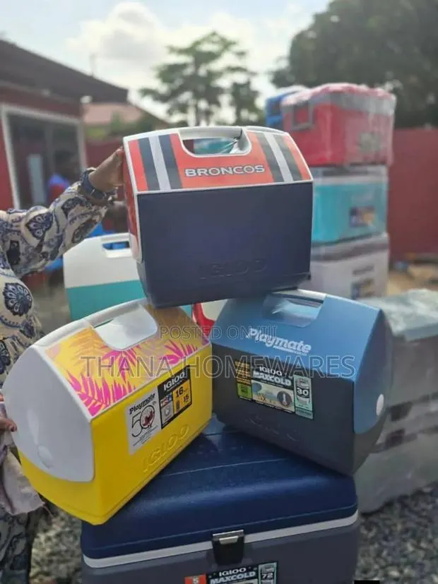 Igloo Playmate Cooler · Photo 1