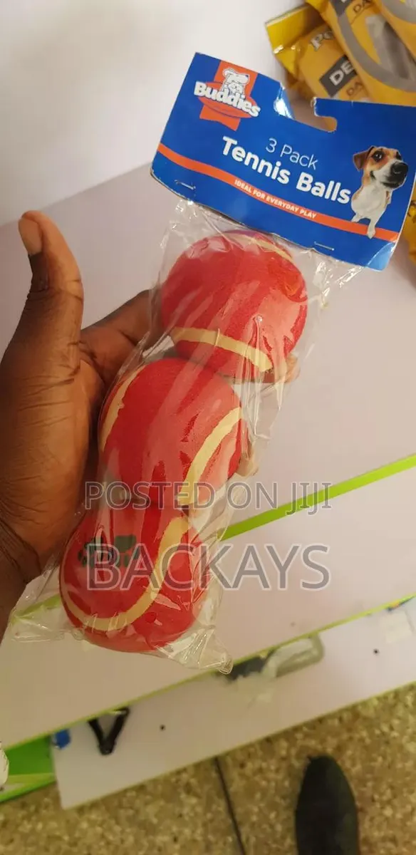 Medium Dog Balls for Playing and Training · Photo 1