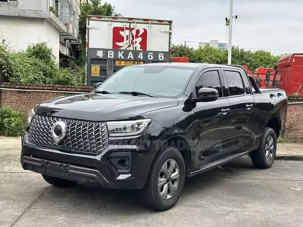 Great Wall Pao 2025 Black · Photo 1