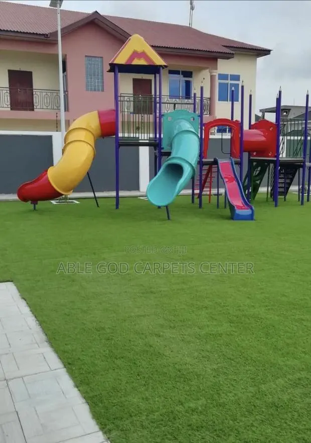 Green Grass for School Compound · Photo 1