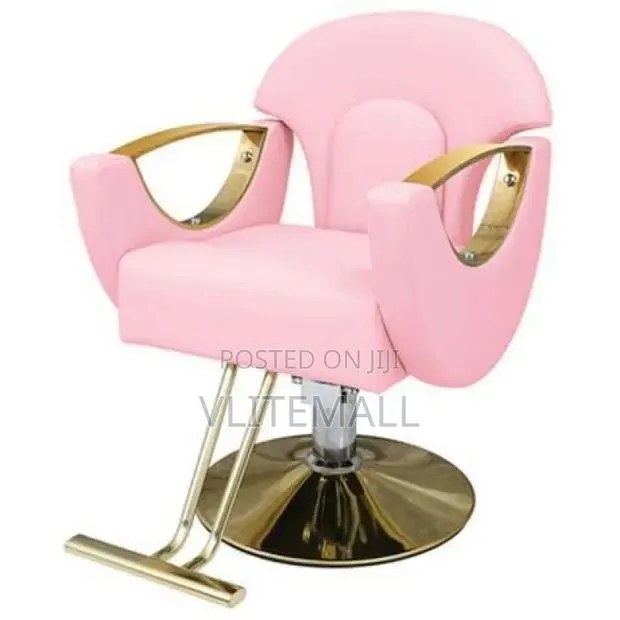 Luxurious Saloon Chairs · Photo 2