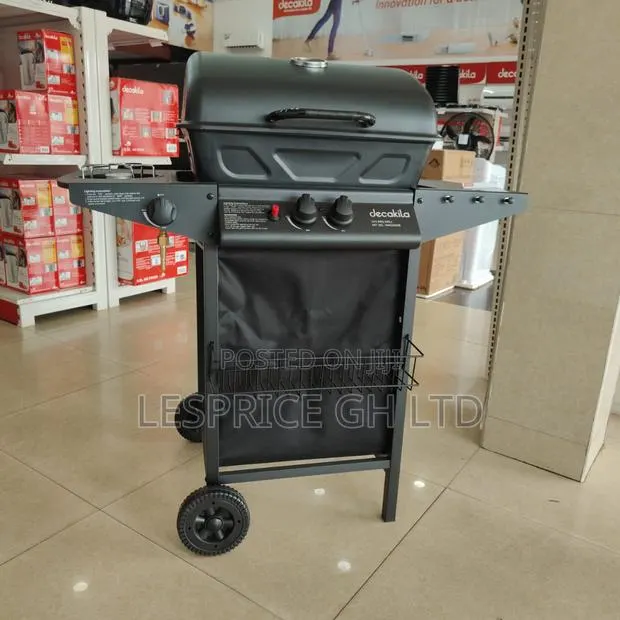 Get a Super Exciting Offer on Our Perfect 2 Burner Gas BBQ Grill · Photo 1