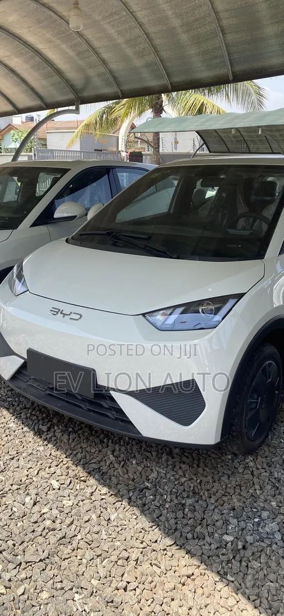 New BYD Seagull 2025 White · Photo 1