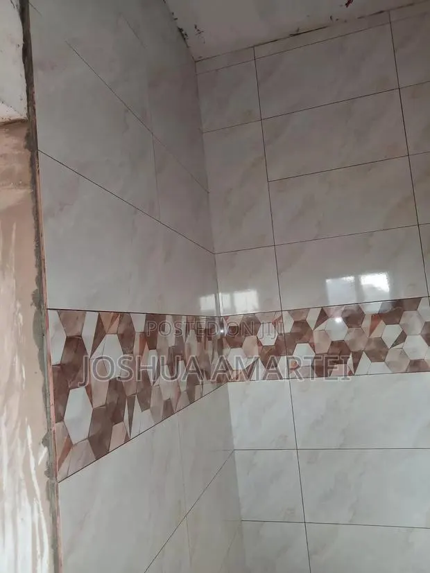 Professional Tiler · Photo 1