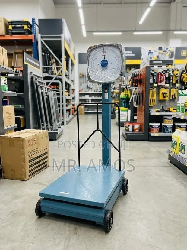300kg Camry Analog Scale - H · Photo 1