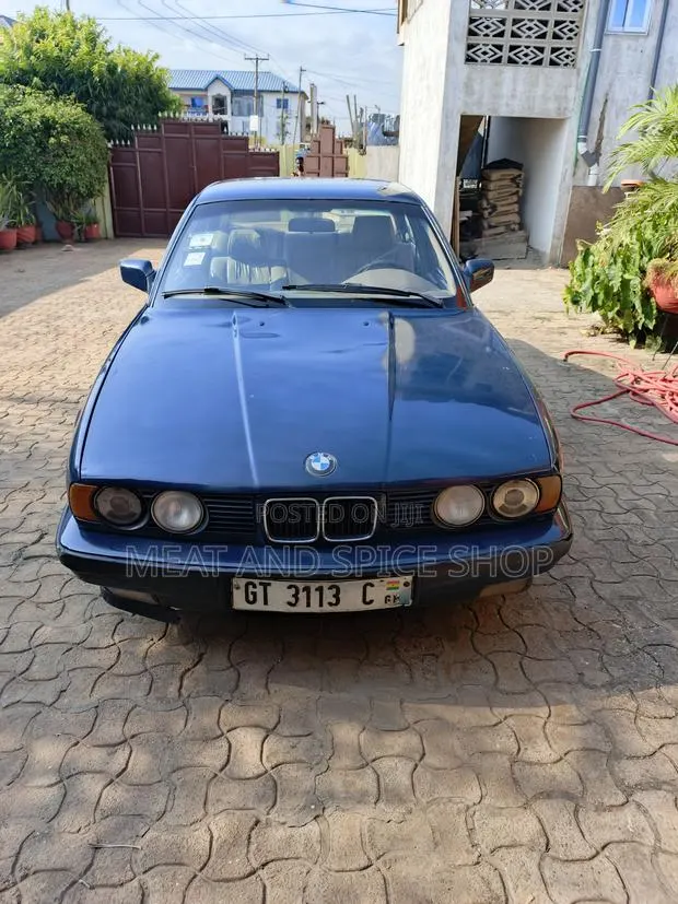 BMW 5 Series 1993 Blue · Photo 1