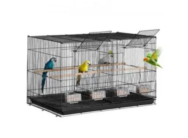 Double Metallic Bird Cage · Photo 1