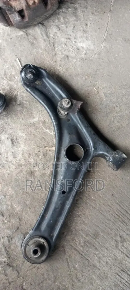Echo Lower Arm · Photo 1