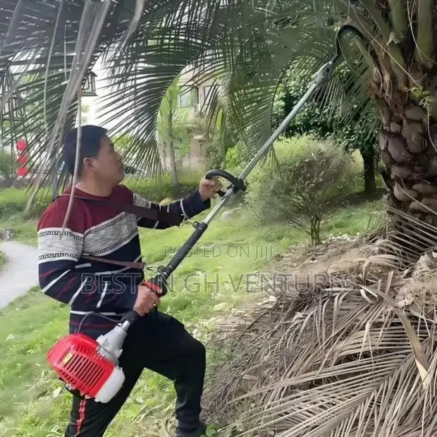 4 Stroke Brush Cutter Palm Harvester (Top Quality) · Photo 1