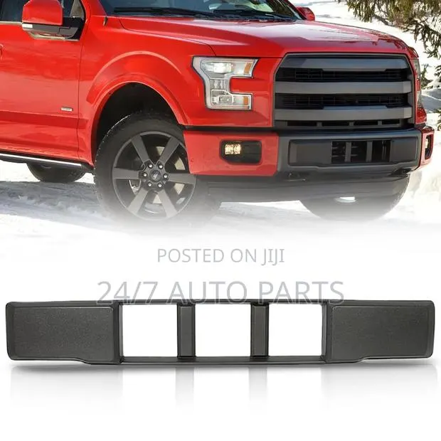 Ford F150 2015 - 2017 Front Bumper Lower Grill · Photo 1