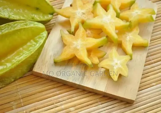 Starfruit Plant Seedling · Photo 3