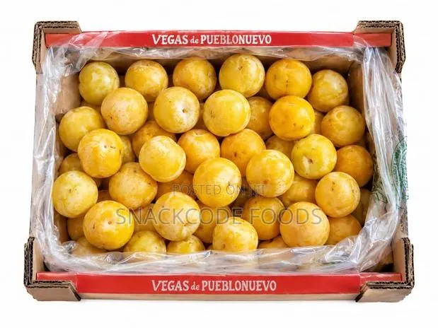 Yellow Plum · Photo 1