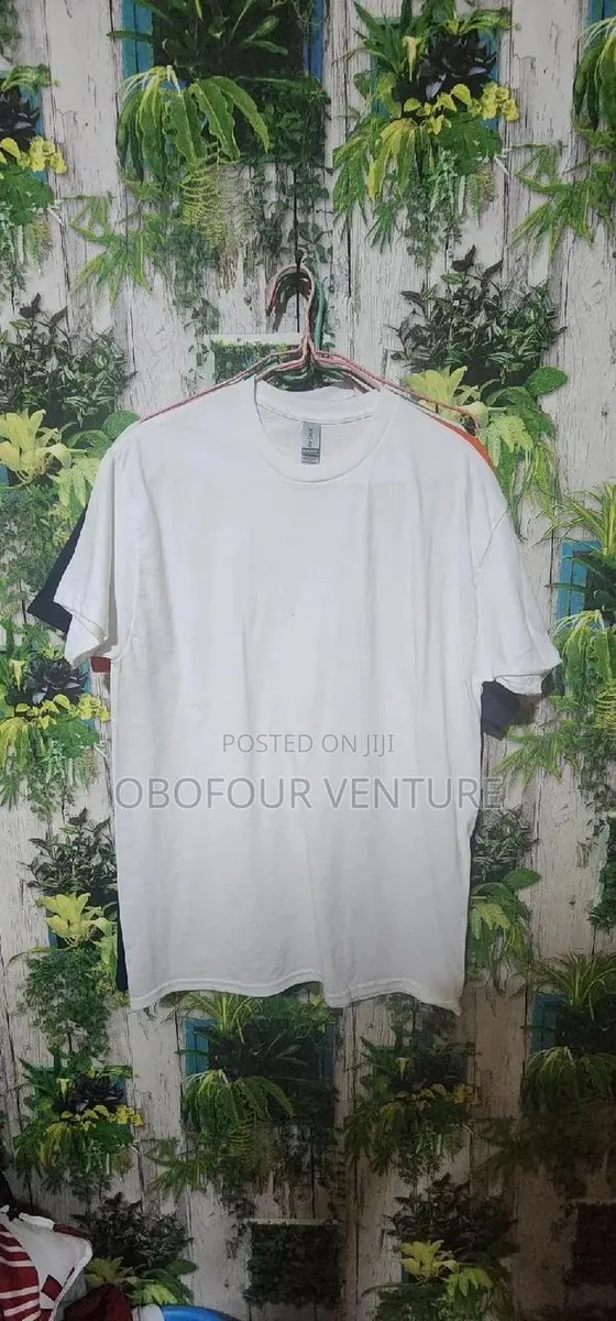 Plain White T-Shirts From the USA · Photo 1