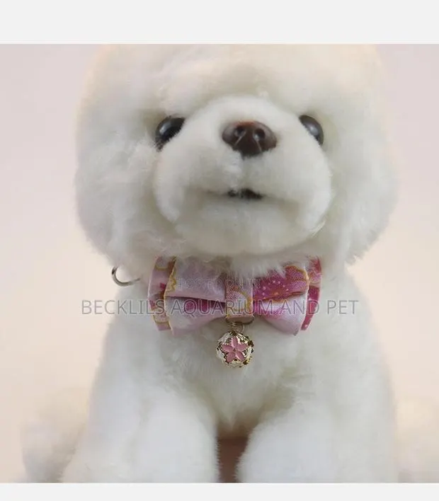 Dog Adjustable Neck Collar · Photo 1