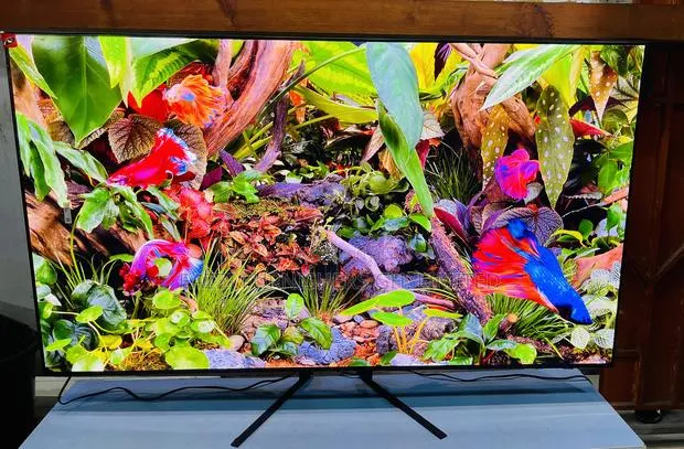 Vibrant Color Samung Oled TV at 144 Hz 65 / 55 Inches Smart HDR Uhd · Photo 1