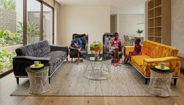 Billionaires Sofa Set ( Imported) · Photo 1