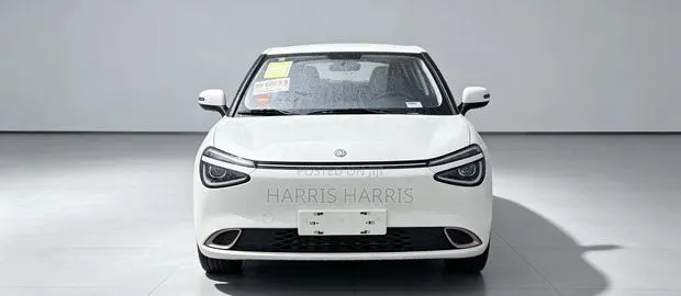 New Dongfeng Nammi 01 2025 White · Photo 1