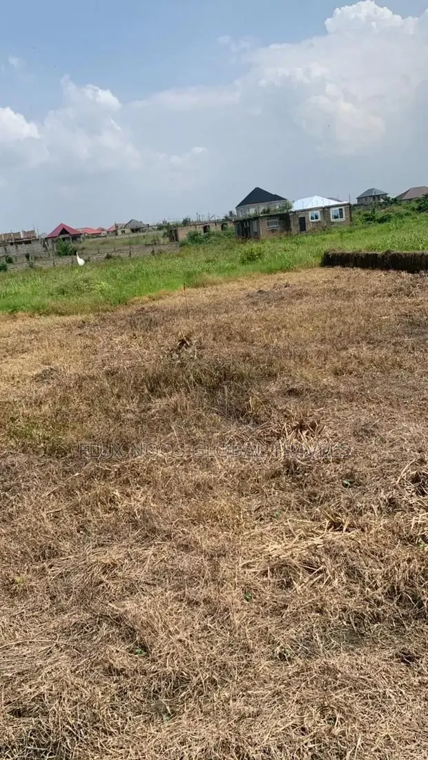 Half Plots, Full Plots for Car Swap · Photo 1